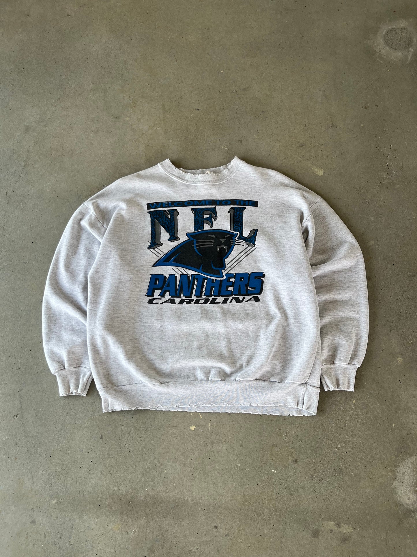 90’s Carolina Panthers Welcome to the NFL Crewneck [M]