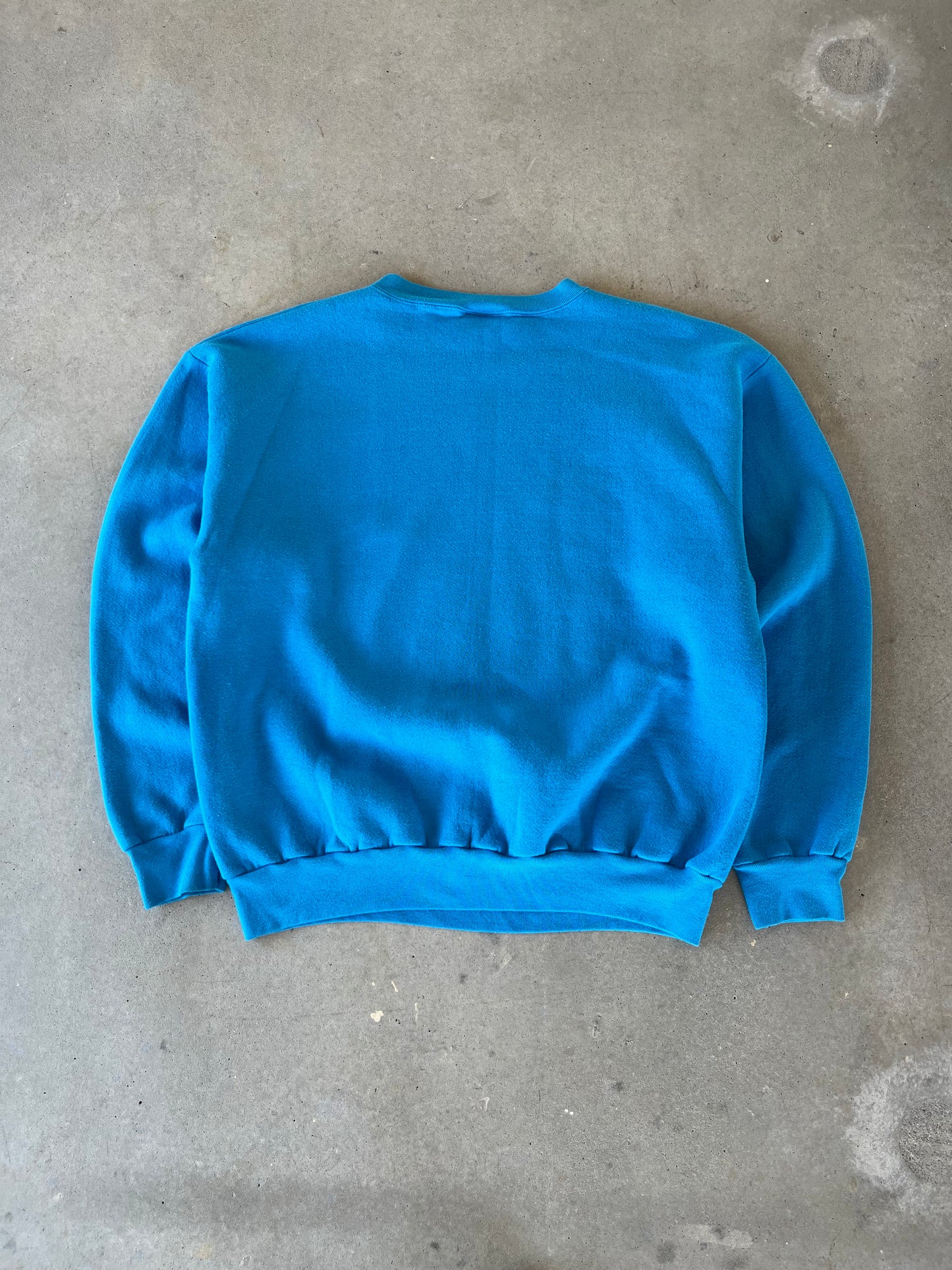 90’s Carolina Panthers Helmet Crewneck [L]