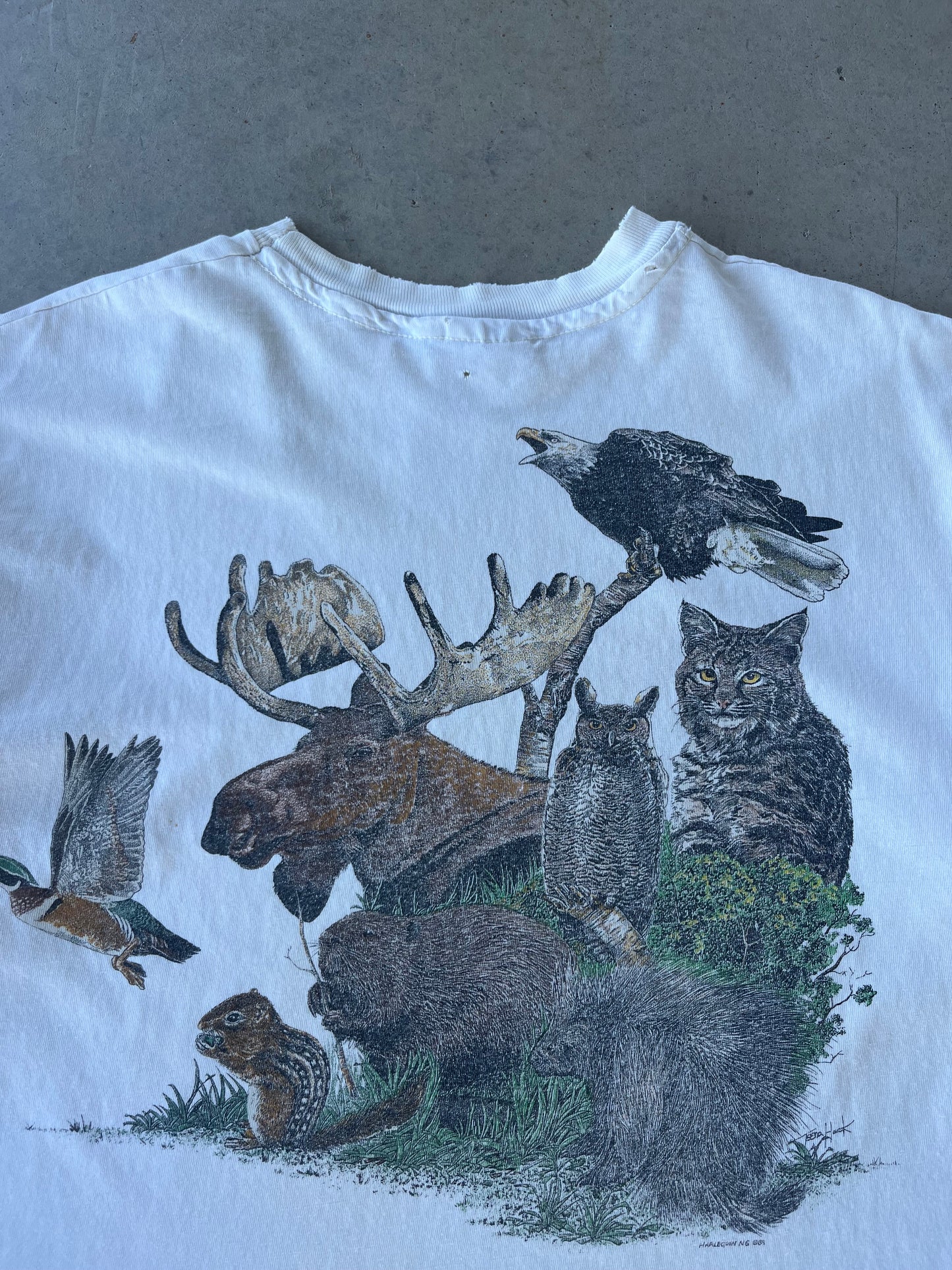 90s Wildlife Animal Nature T-Shirt [XL]