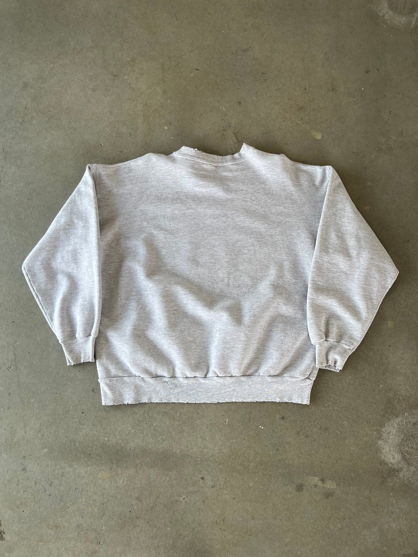 90’s Carolina Panthers Welcome to the NFL Crewneck [M]