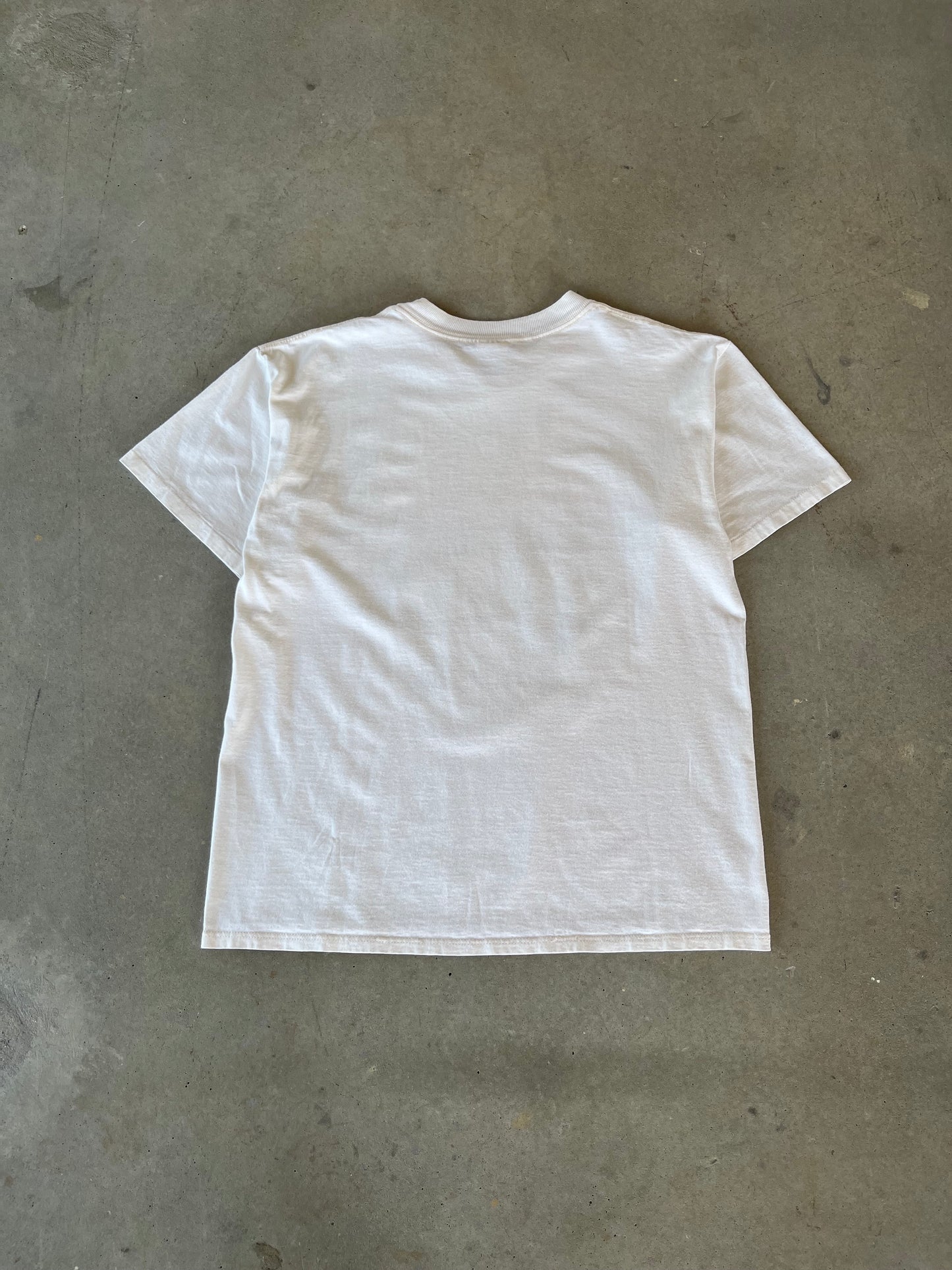 90’s Arizona Grand Canyon T-Shirt [L]