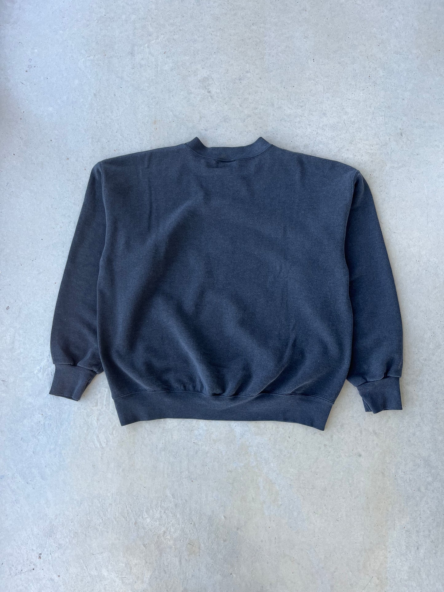 90’s Carolina Panthers Nutmeg Crewneck [L]