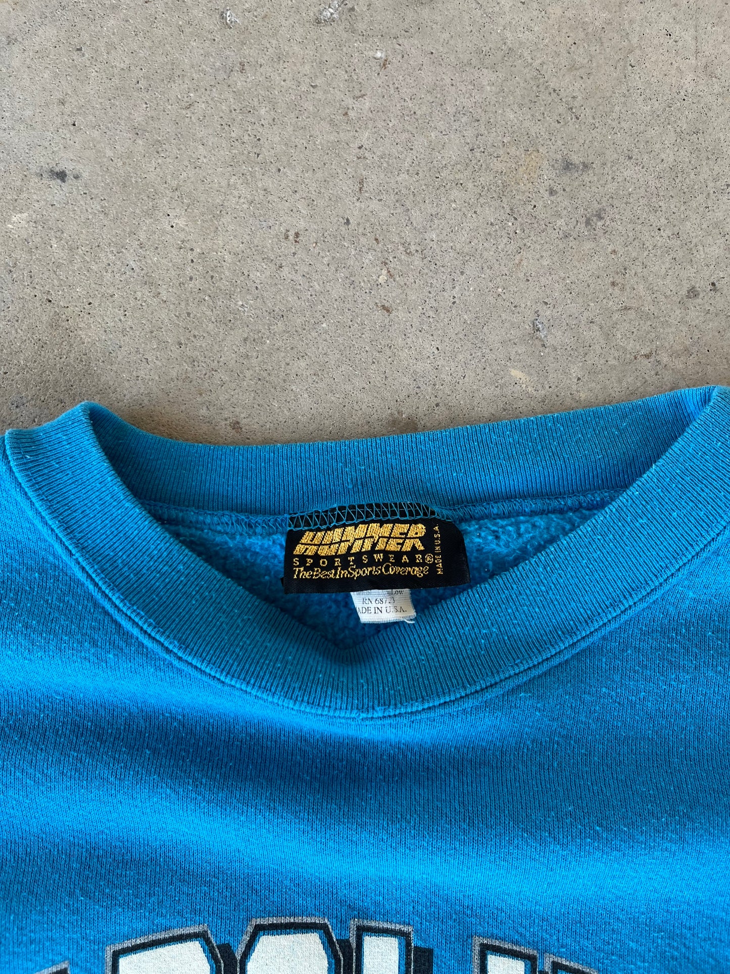 90’s Carolina Panthers Helmet Crewneck [L]