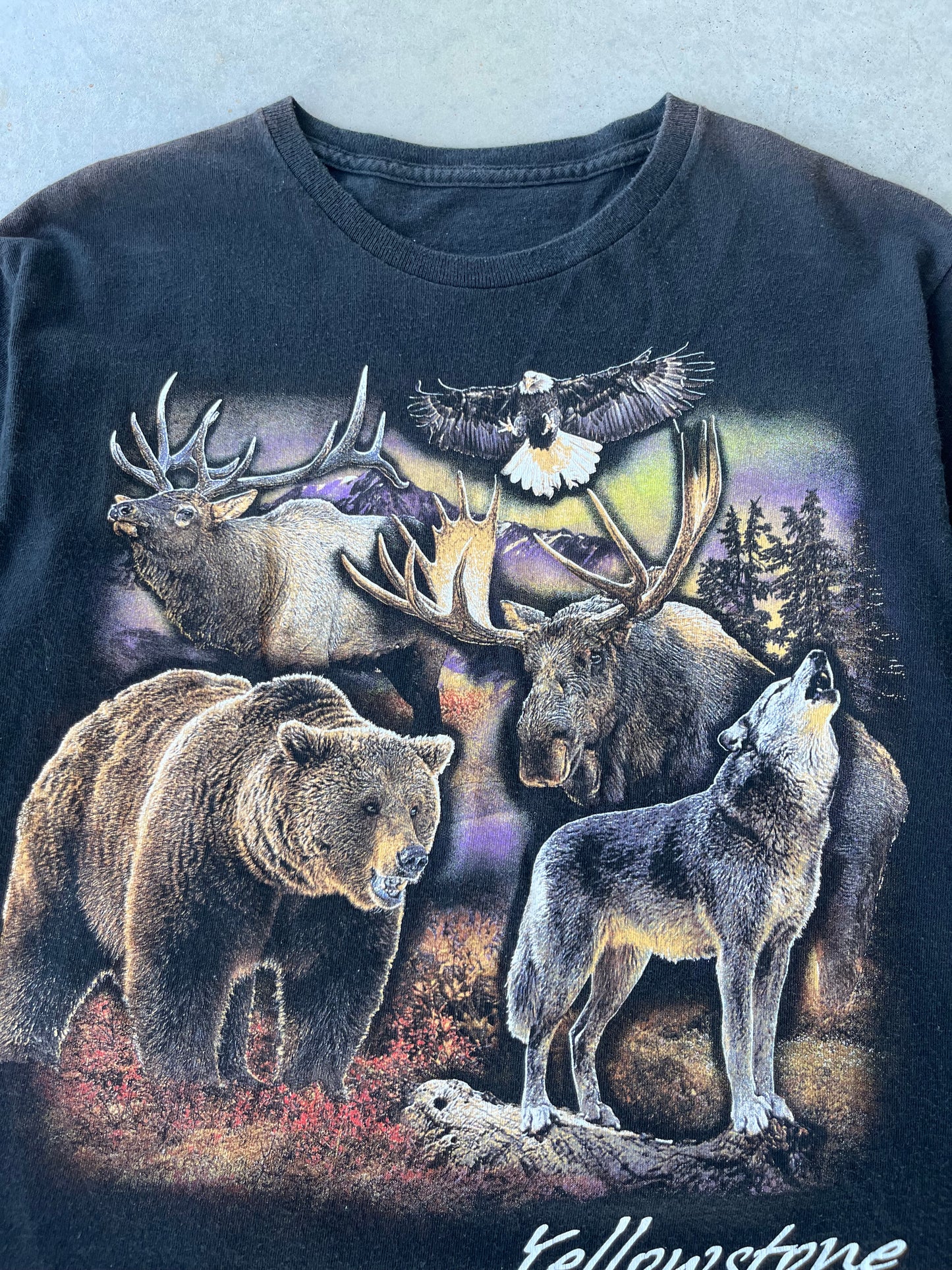 90s Yellowstone Nature T-Shirt [M]