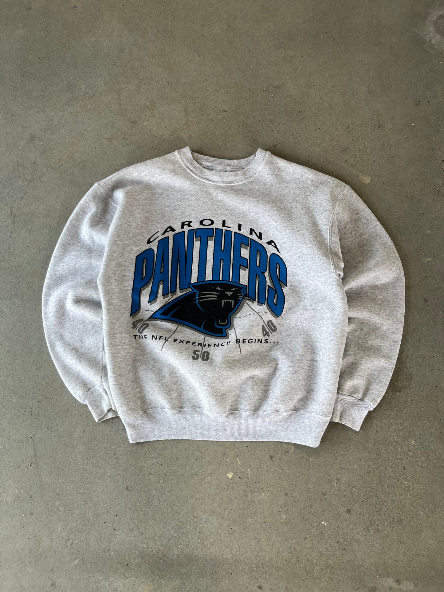 90’s Carolina Panthers NFL Experience Crewneck [L]