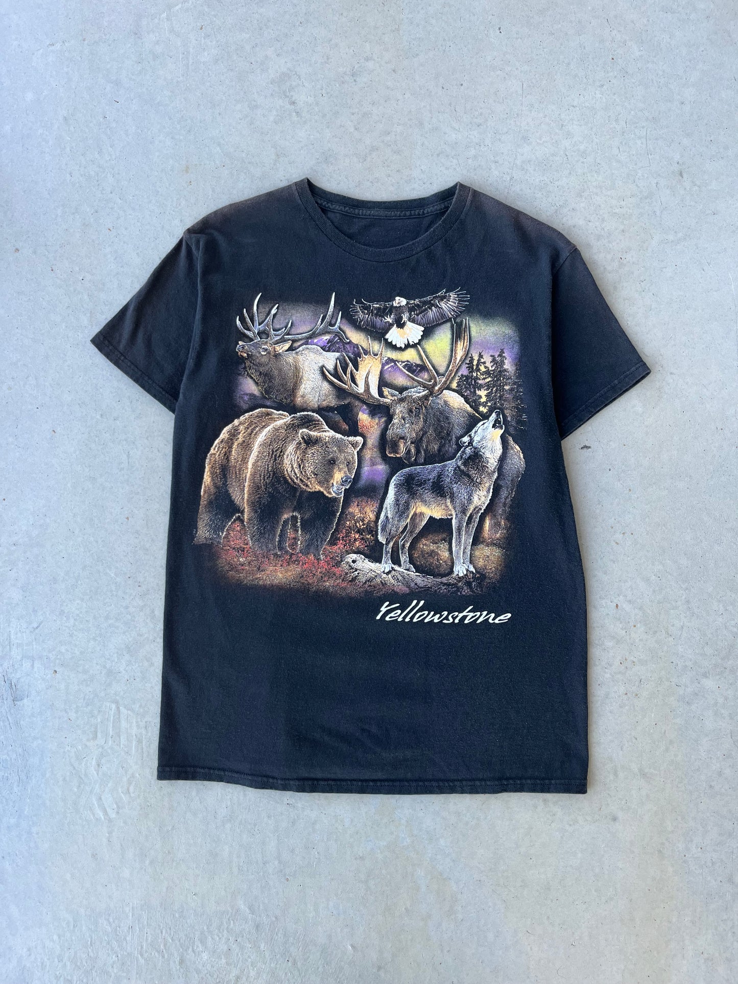 90s Yellowstone Nature T-Shirt [M]