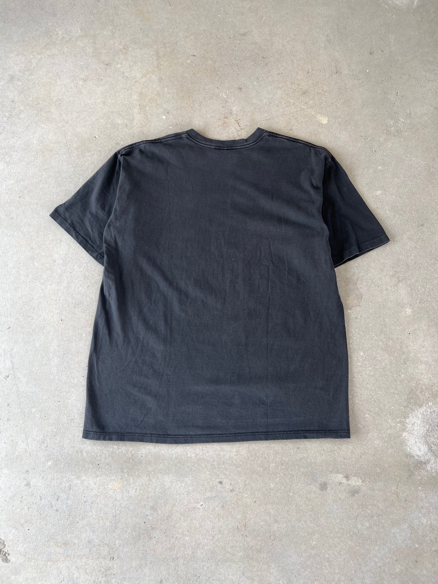 1993 Carolina Panthers Starter T-Shirt [L]
